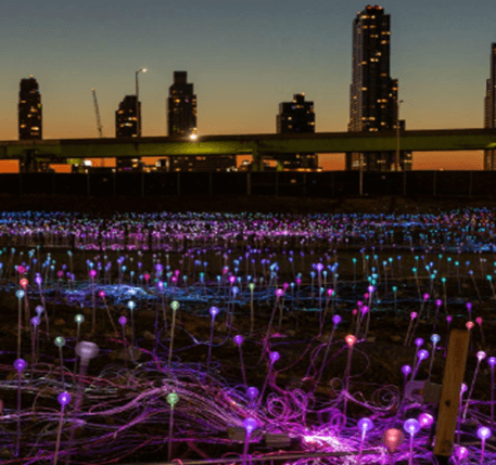 Show de luces